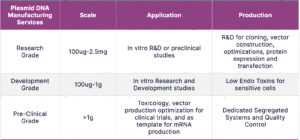 purity grade plasmid prep